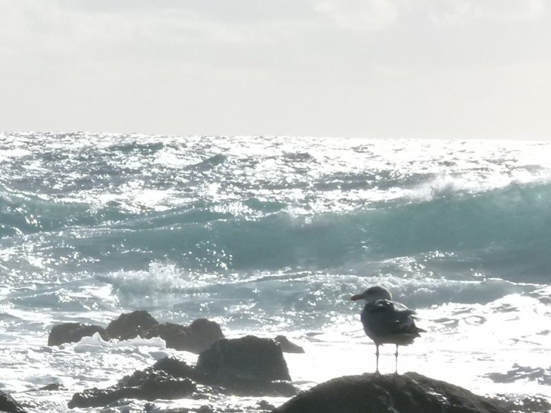 2. Favorit Heilmeditation Button, verkleinert